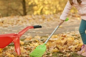 removing small leaves