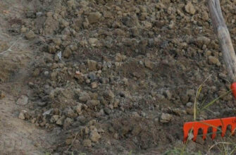 small rocks and gravel rake review