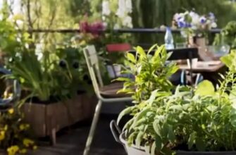 Hand Rakes for Gardening
