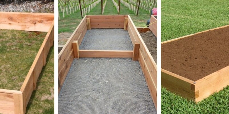 how to build a raised garden bed