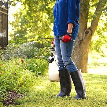 Sevin Insect Killer Concentrate 2-pack 32 FL. OZ