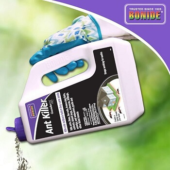 Bonide 623 O7131956 Ant Killer Granules