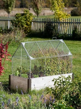 Gardener’s Supply Company Chicken Wire Crop Coop