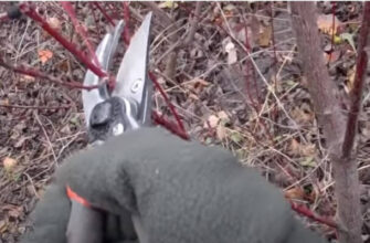 how to sharpen garden shears