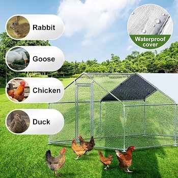 Chicken Coop