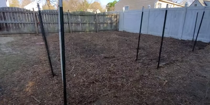 fence to keep chickens out