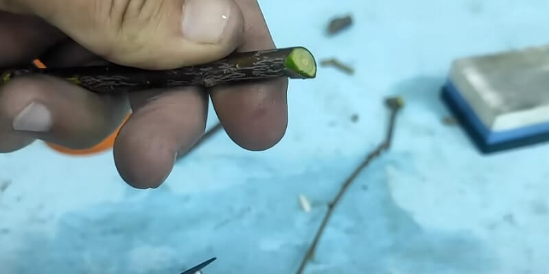 how to sharpen garden scissors