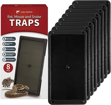 Super Glue Traps 8 Pack for Mice & Snakes