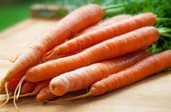 how to store carrots from the garden